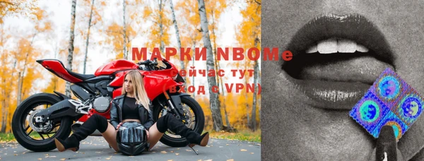 эйфоретик Алзамай