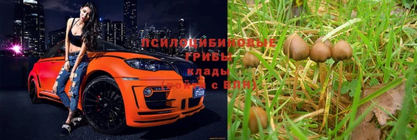 скорость Алексин