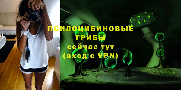 соль ск Сатка