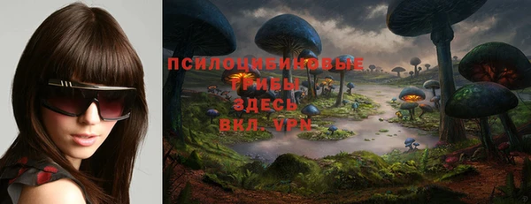 эйфоретик Алзамай